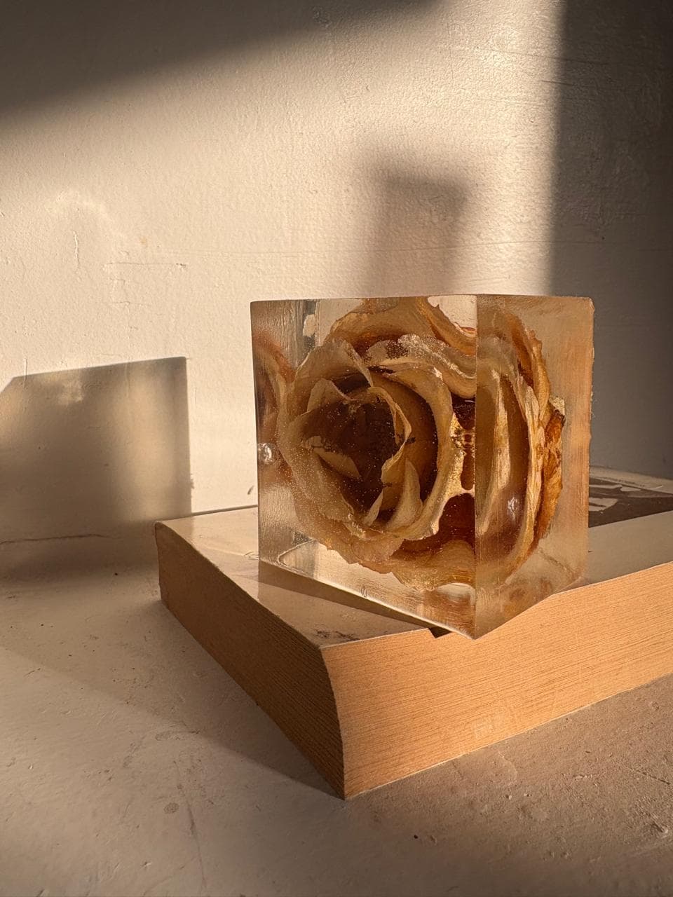 Botanical Resin Cube Keepsake view 2