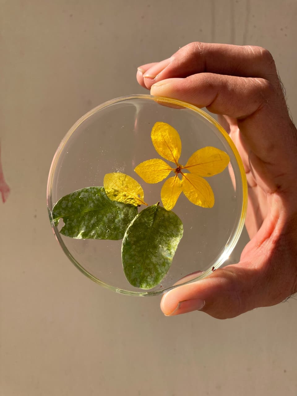 Botanical Resin Coaster Set (Set of 4) view 3