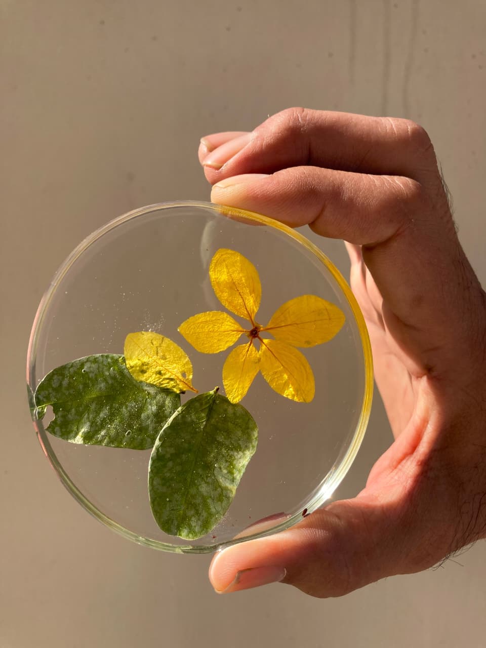 Botanical Resin Coaster Set (Set of 4) detail view